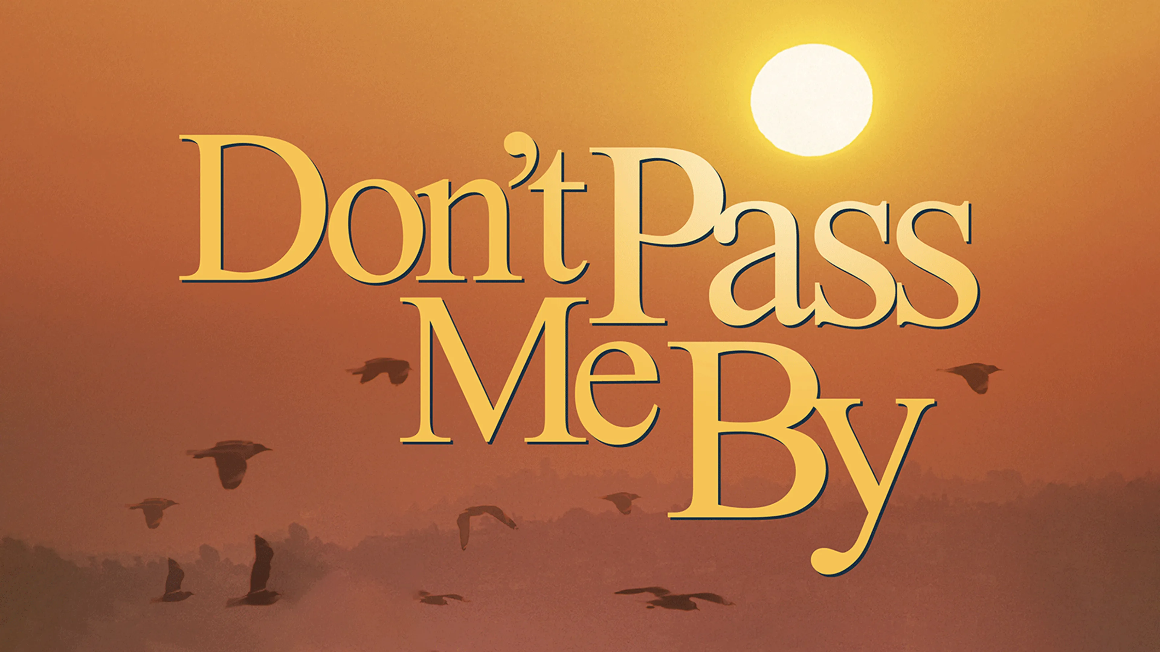 Don't Pass Me By poster